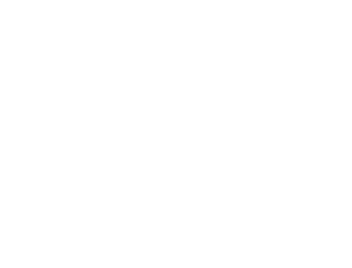 Novo Nordisk Novo Nordisk