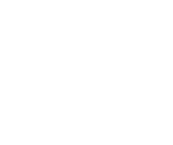 Luís Simões Luís Simões
